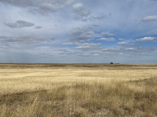 Mud Creek Organic Wheat Farm