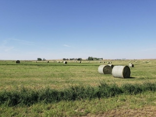 Tumbleweed Ranch