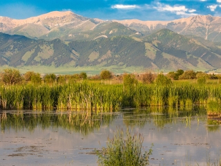 Story Creek Preserve