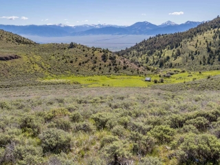 V Timber Creek Ranch