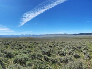 Stone Creek Grazing Unit
