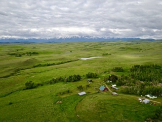 White Deer Ranch