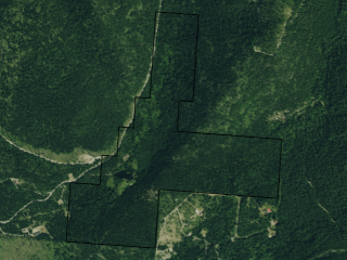 Map of 2400 Therriault Pass Road: 230.18 acres East of Eureka