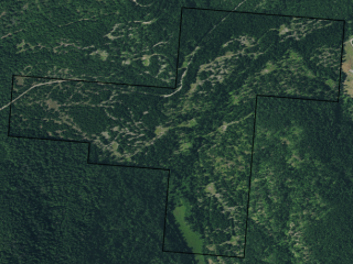 Map of Iron Grouse Road: 255.99 acres SW of Troy