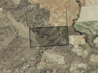 Map of Pease Ranch - Tract 8: 320.89 acres NE of Richey