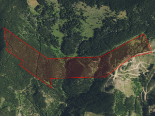 Map of Pioneer Ridge Acreage: 56.07 acres NE of Neihart