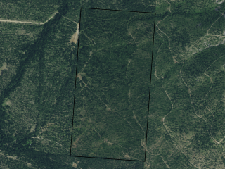 Map of Plat C Upper Lynch Creek Road: 320 acres NE of Plains