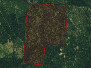 Map of Roberts Creek Road: 200 acres SE of Fortine