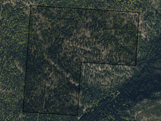 Map of Secluded Property With Off-Grid Cabin Surrounded By Lolo National Forest: 103.46 acres NW of Hudson