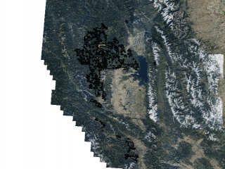 Map of Weyerhaeuser Timberlands: 630000 acres Western Montana