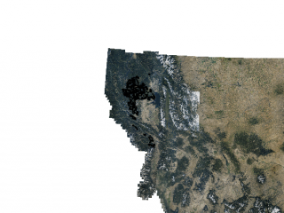 Map of Weyerhaeuser Timberlands: 630000 acres Western Montana