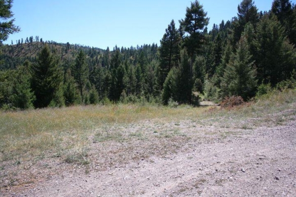 Map of 25575 Patter Spur Road: 218 acres East of Clinton