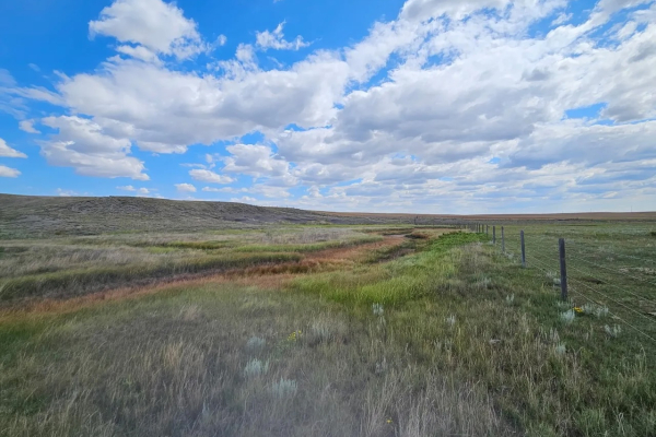 10th Road NE - 400 Acres