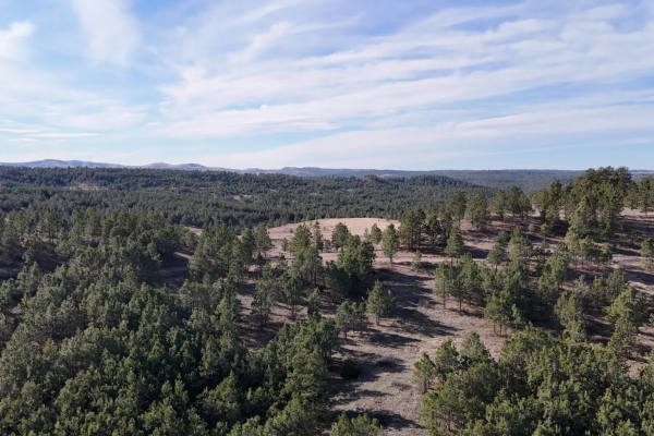 Map of Parrot Creek: 420 acres SE of Roundup