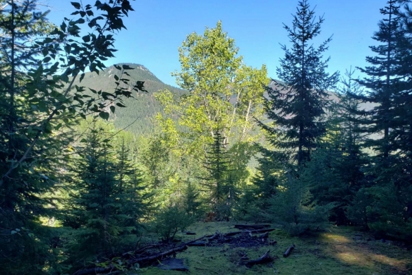 206 Acres Silver Butte Road