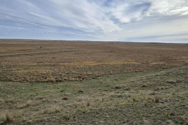 Map of East Two Furrow Road: 440 acres NE of Cohagen