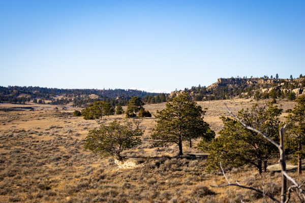 Map of Musselshell Breaks Ranch: 4121 acres North of Billings