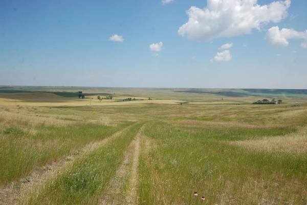 Map of Highway 200 1 mile past CR 336: 640 acres West of Sidney