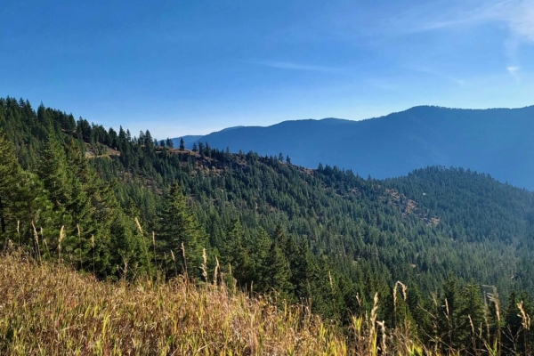 County Line Tract