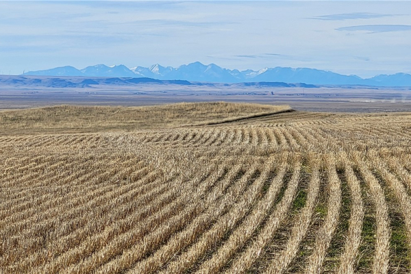 Map of 640 Acres Molt Rapelje Road: 640 acres East of Rapelje
