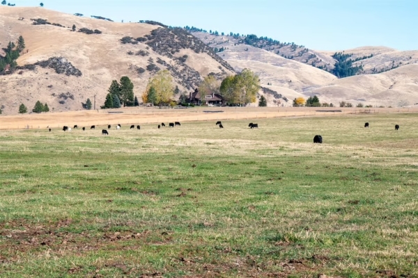 Two Feathers Ranch