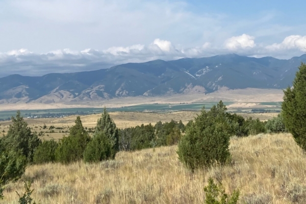 Map of 219.81 Acres - Mill Gulch Road: 219.81 acres SE of Sheridan
