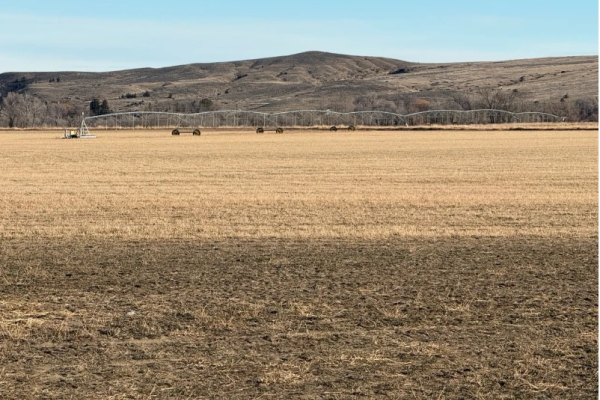 Map of Bridger, MT Irrigated Pivot Property: 138 acres Bridger