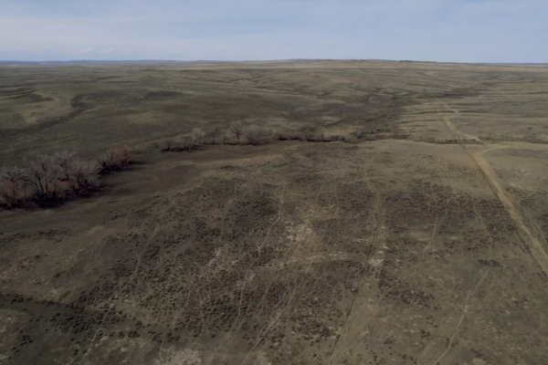 Schiffer Ranch Co. - Hansen Place