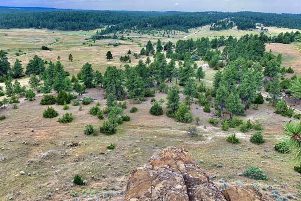 Map of Dean Creek: 447 acres NE of Lavina