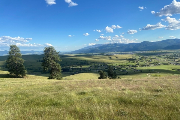 Browtine Ranch