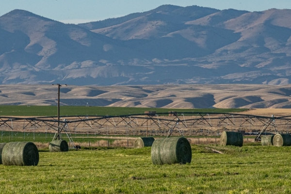 Map of Spring Creek Farm: 580 acres NE of Dillon