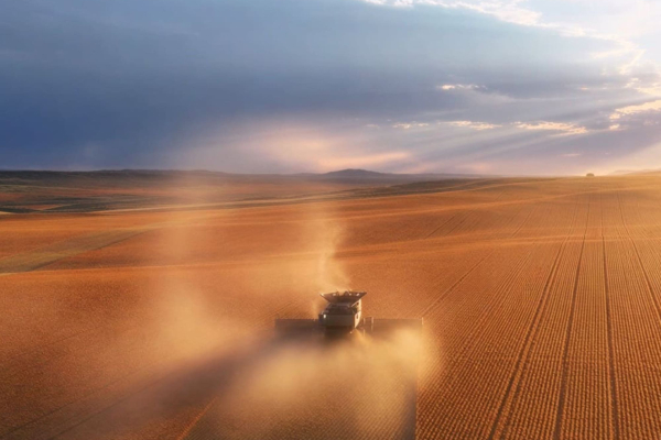 Map of Camp 1 - Auction: 9533 acres SE of Hardin