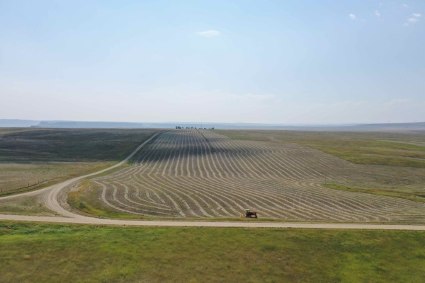 Dry Farmland in Golden Valley County