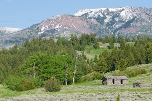 Map of Jones Creek Ranch: 600 acres SE of Dell