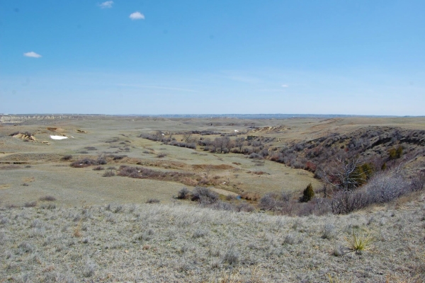 Section of Montana Land