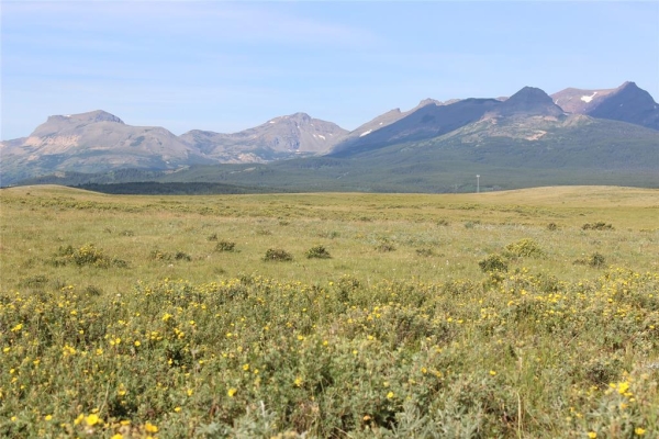Map of East Glacier Meadows Ranch: 758 acres East of East Glacier