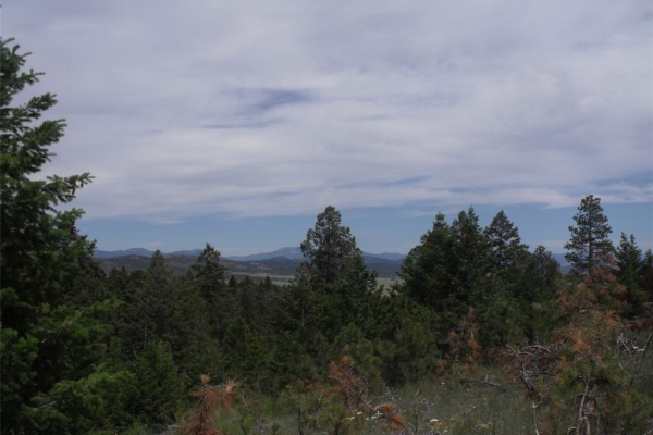 Map of Hidden Springs Drive: 39 acres NW of Helena