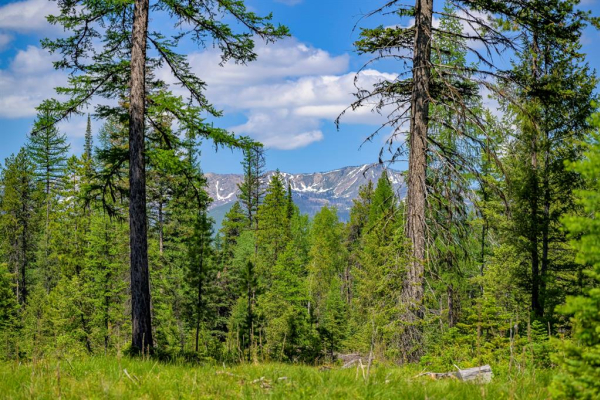 Map of Lindbergh Lake Road: 285 acres South of Condon