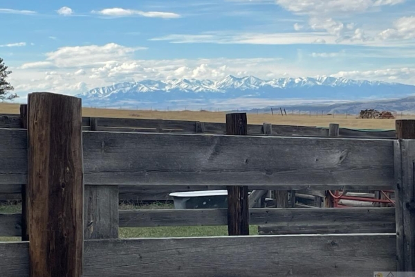 Noon Bear Ranch