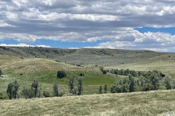 Elbow Creek Road