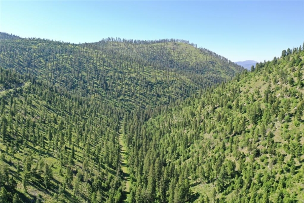 Map of 4-7 Garnet Range Tract: 635 acres NW of Drummond