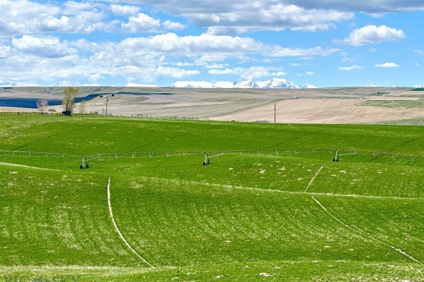 Map of Hidden Homestead Pivot Farm: 321 acres SW of Amsterdam