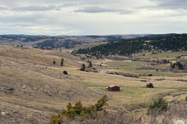 Map of Brumfield Road: 487 acres SE of Reed Point