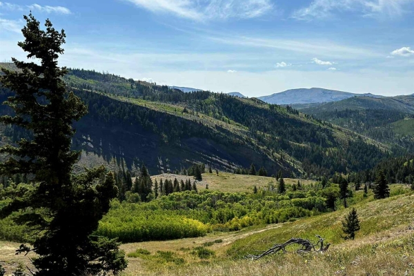Map of Heart Butte Cutoff: 320 acres SE of East Glacier