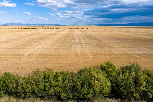 Map of Heritage Prairie Farm: 481 acres West of Hobson