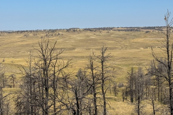 Map of Haveman Ranch, LLC: 4442 acres West of Hysham