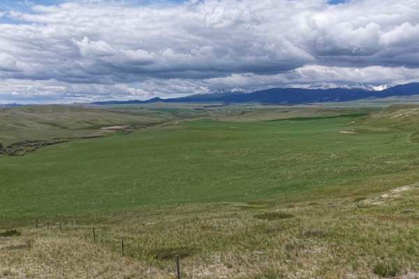 Map of Norwegian Creek 480: 480 acres SE of Harrison