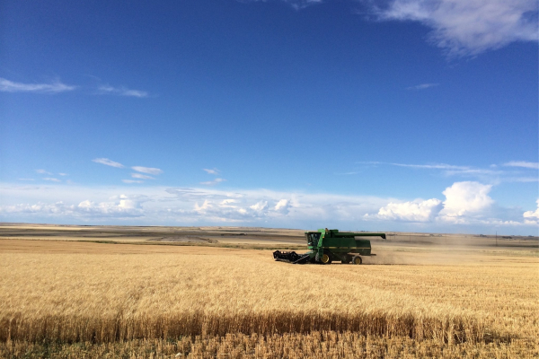 Map of Highway 379: 787 acres East of Duton