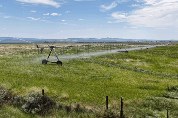 Map of Toston Pivots: 480 acres NW of Toston