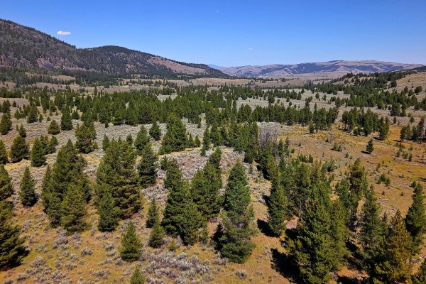 Map of Middle Fork Ranch Lots 2 & 3: 259 acres SW of Philipsburg